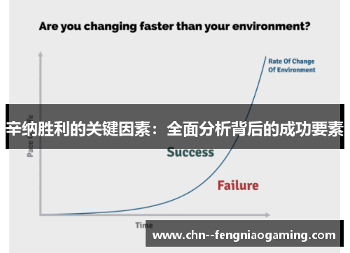 辛纳胜利的关键因素：全面分析背后的成功要素